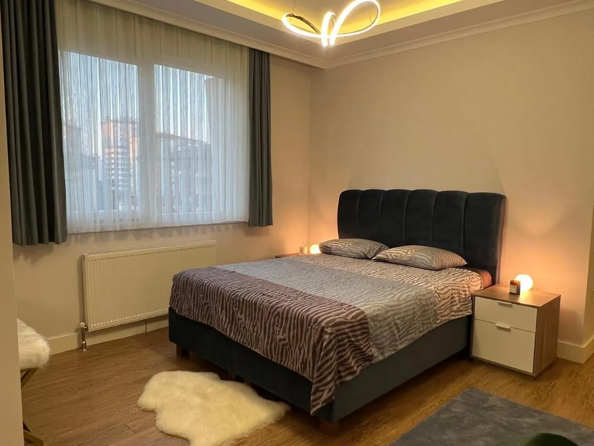イスタンブールLuxury Houseアパートメント